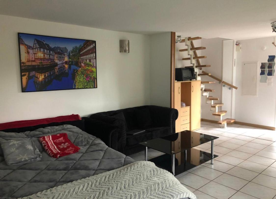 Entre Ville & Campagne Plobsheim Exteriér fotografie